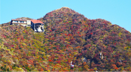 Take a walk in the sky at 1300m above sea level