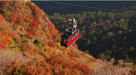 Autumn...Autumn leaves that are so beautiful, it is a designated national natural treasure