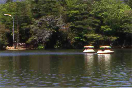 Shirakumo pond