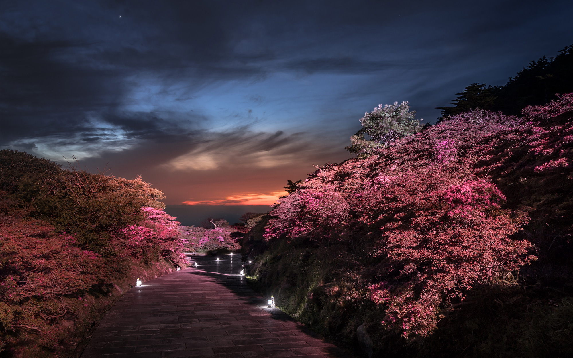 雲仙仁田峠プレミアムナイト