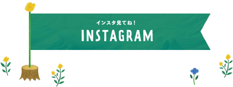 インスタ見てね！