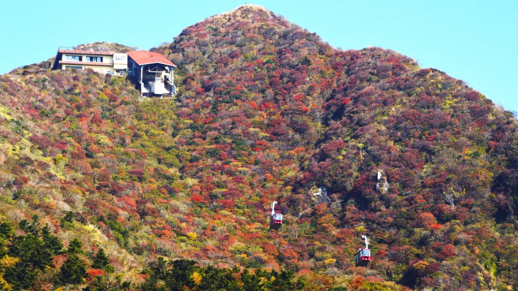 仁田峠の紅葉